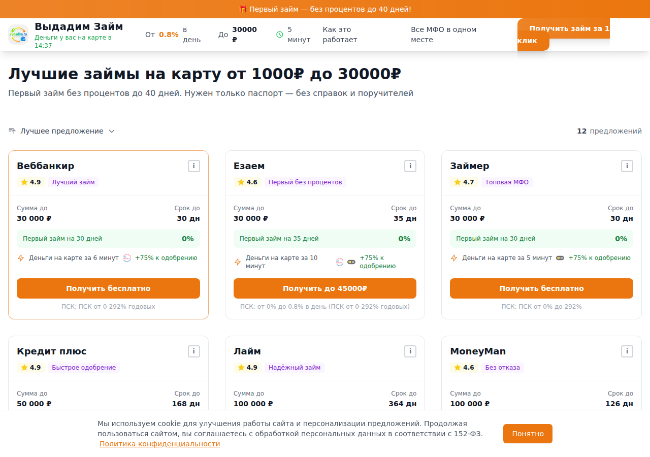 Главная страница сервиса подбора займов Выдадим