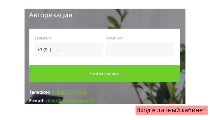 Чек мани